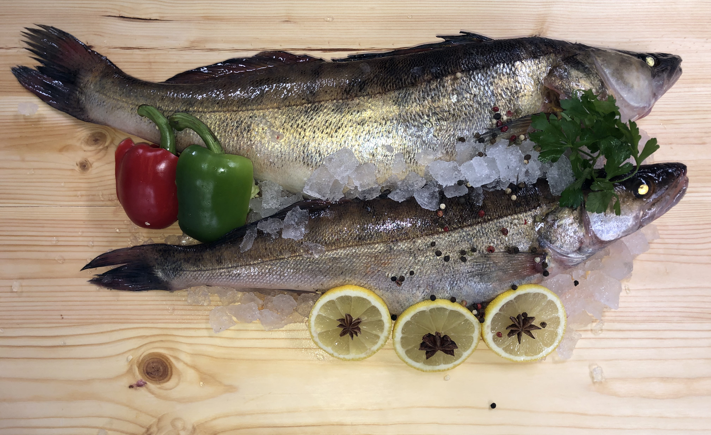 Sandacz Patroszony Świeży