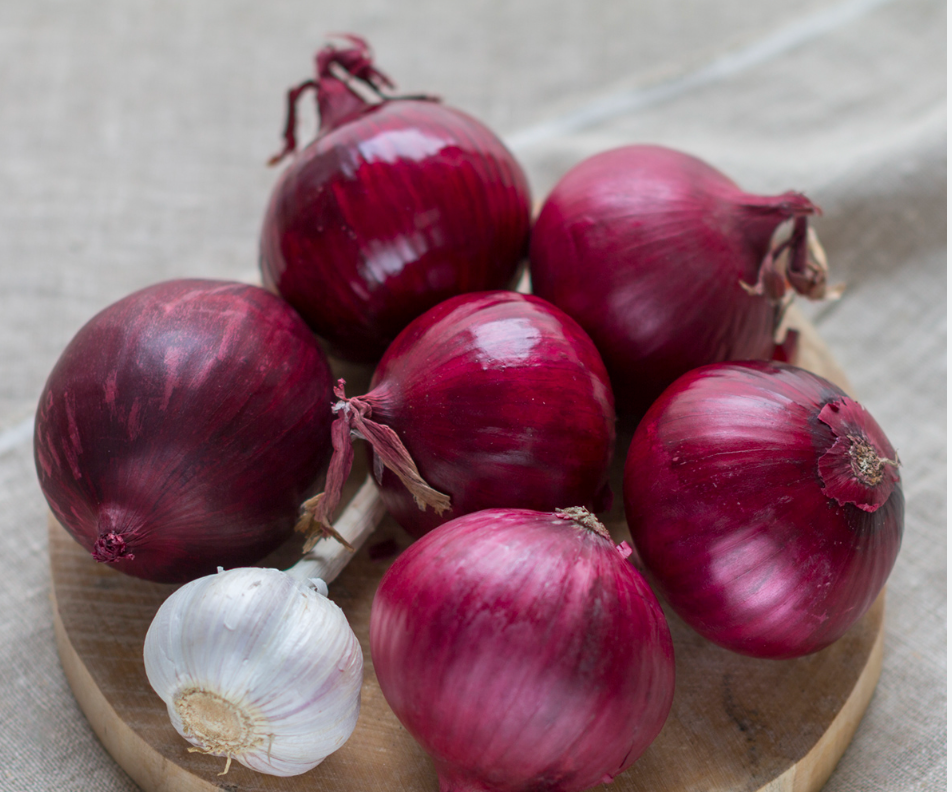 Czerwona Cebula