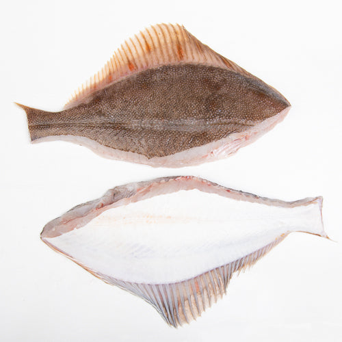 Flądra Tusza ze skórą