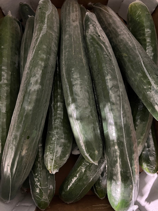 Długi Ogórek folia