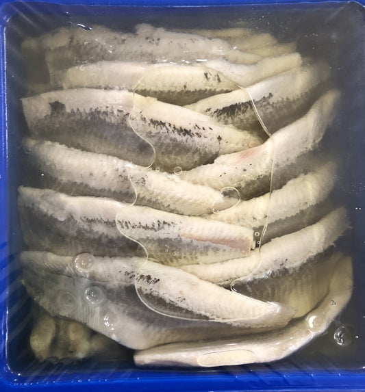 Śledź Matias holenderski w oleju