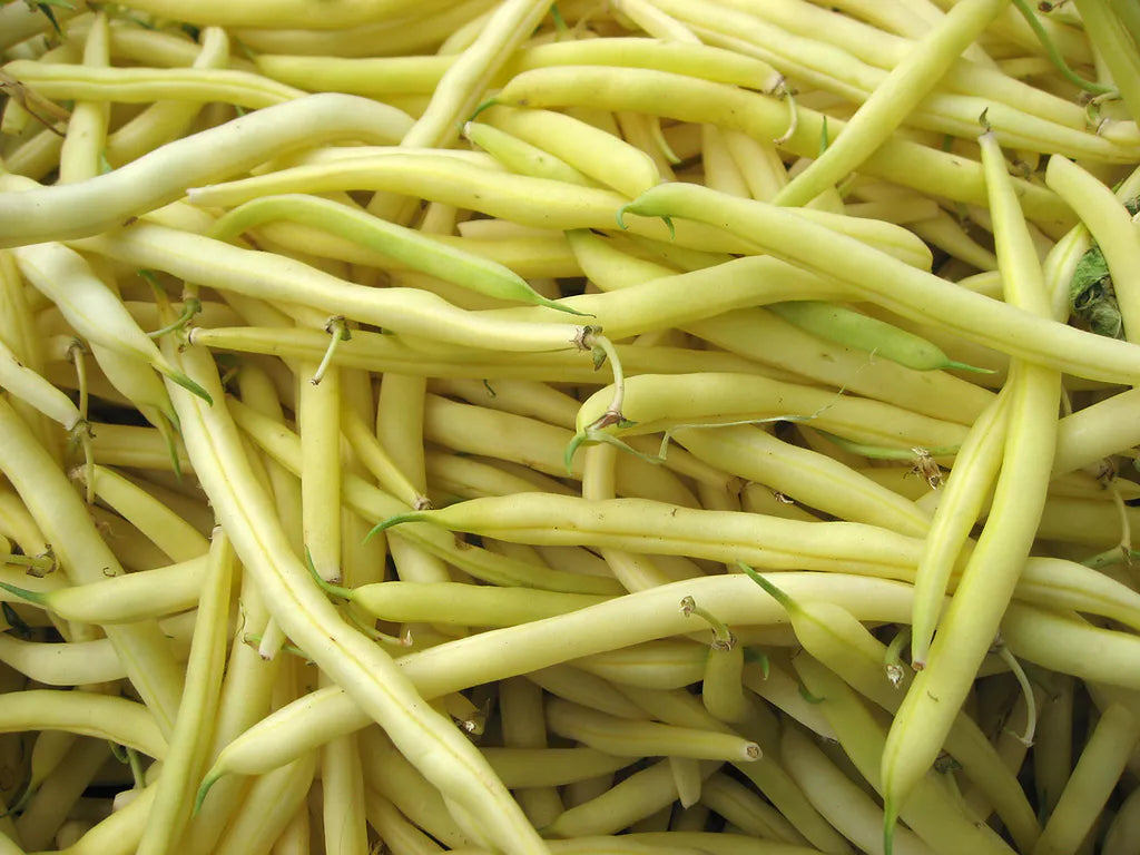 Fasolka Szparagowa Żółta