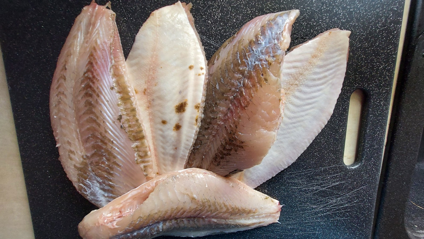 Flądra Tusza Bez Skóry