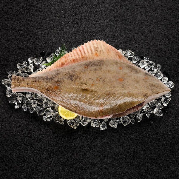 Flądra Tusza ze skórą