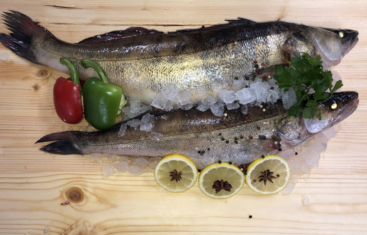 Sandacz Patroszony Świeży