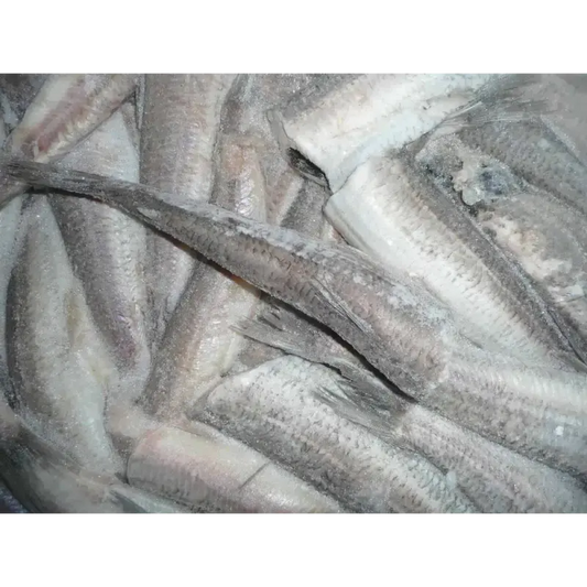 Srebrzyk tusza bez głowy