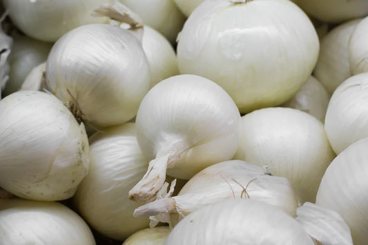 Cebula Biała Cukrowa