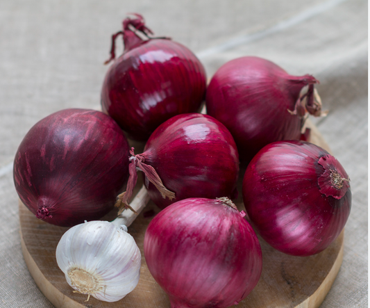 Czerwona Cebula