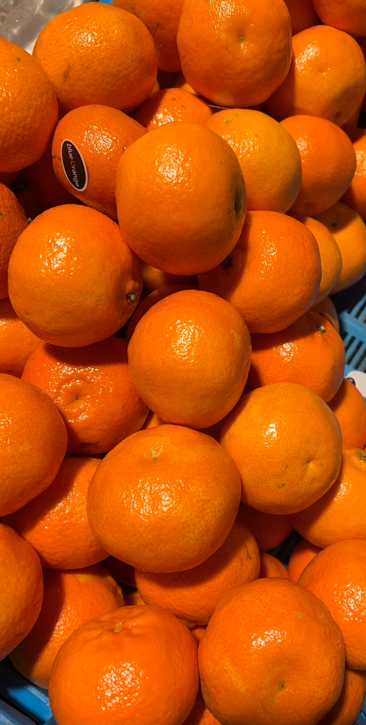 Mandarynki Premium Marokańskie