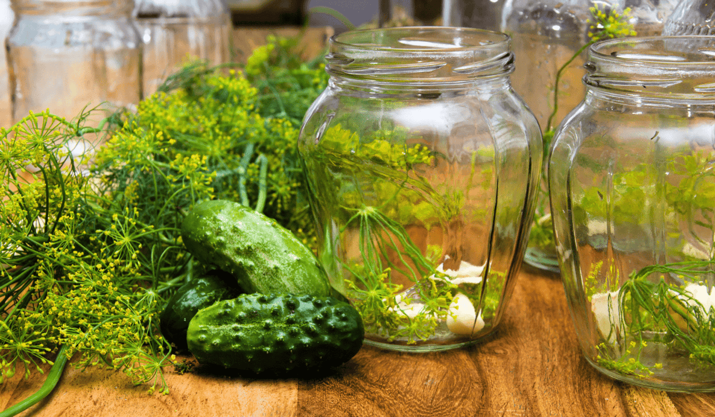 Koper zaprawy ogórków