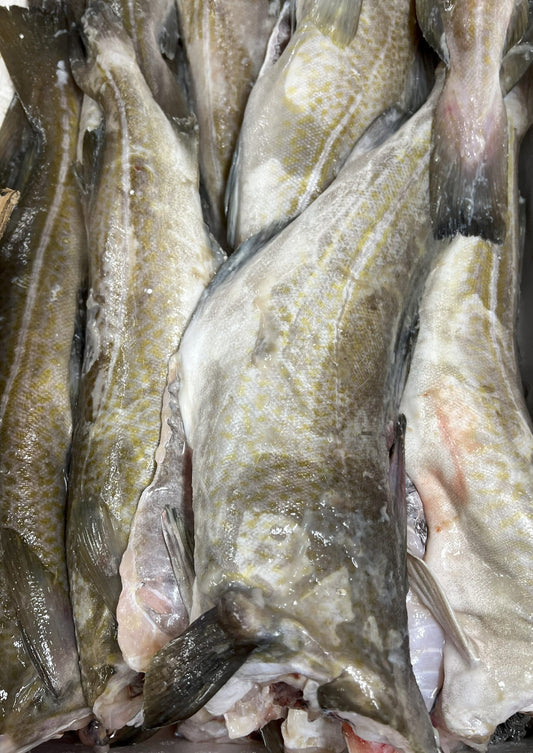 Świeży Dorsz Tusza