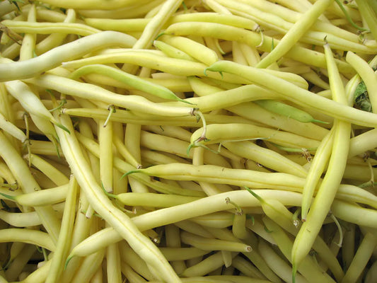 Fasolka Szparagowa Żółta